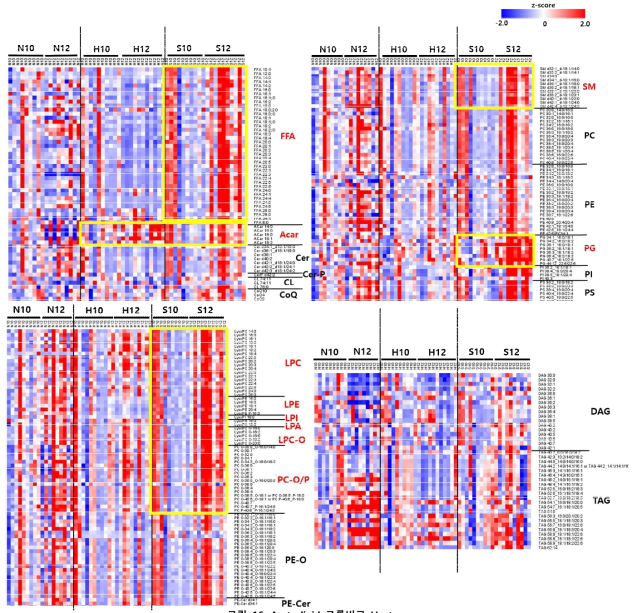 Aorta lipid 그룹비교 Heatmap