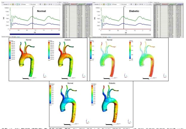 FSI 해석의 변위(위) 및 유동(아래) 결과. 당뇨병의 경우 높은 점성이 영향을 미치는 벽 전단 응력에 뚜렷한 차이를 보이며, 혈관에 대한 영 계수를 변화시켜도 변위 자체에는 큰 영향이 없음
