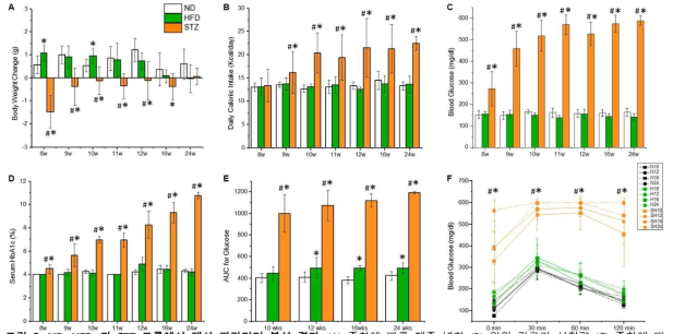 ND, HFD, 과 STZ 그룹에서 대사 파라미터 분석 결과. (A) 주차에 따른 체중 변화 (B) 일일 칼로리 섭취량 (C) 주차에 따른 혈당 변화 (D) 주차에 따른 HbA1c 농도 변화 (E) 주차에 따른 Glucose tolerance test (F) Area under the curve for glucose. *P < 0.05 vs ND, #P < 0.05 vs HFD