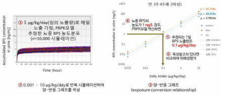 PBPK 모델을 이용한 노출량 역산 예시