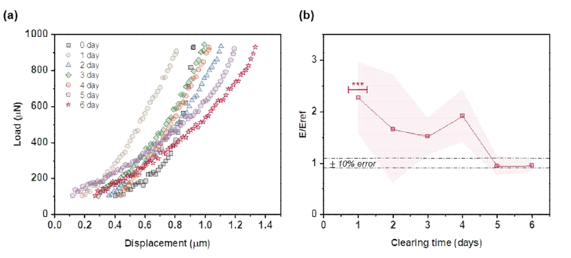 (a) 다양한 투명화 시간 조건에서 생체외 돼지피부조직 샘플의 하중 프로파일. (b) TDE에서 투명화 시간에 따른 영률의 상대적 변화. Eref는 투명화되지 않은 조직 샘플의 영률임. 오차 대역은 세 번 반복 측정값의 표준 편차를 나타냄