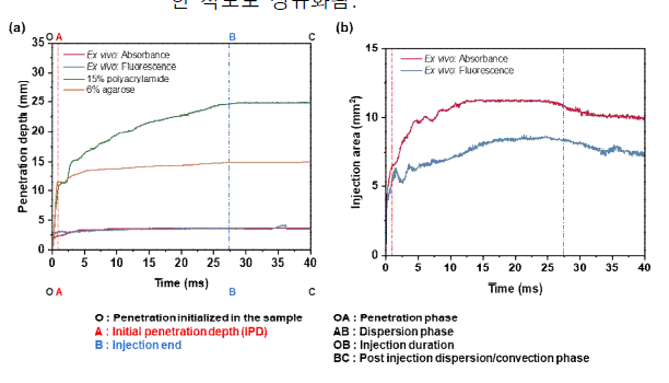 (a) Comfort-in 주입기로 100μl 유체를 주입했을 때 폴리아크릴아미드 및 아가로스 하이드로젤에서 이전에 보고된 것과 비교하여 체외 시각화에서 얻은 초기 침투 깊이 데이터. (b) 형광 및 흡광도 이미징 양식에서 시각화된 주입 초반의 투영 영역의 변화. 주입의 다양한 단계도 표시됨