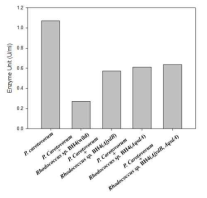 Galacturonase activities after coculturing Rhodococcus sp. strains and P. carotovorum. galacturonase activities were measured using P. carotovorum as a control, and co-culture of P. carotovorum and Rhodococcus sp. BH4 (wild type, ΔjydB, ΔqsdA, ΔjydBΔqsdA)