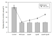 Comparison of biofilm formation inhibition by Rhodococcus sp. BH4 wild type and the AHL-lactonase deletion mutants. Inhibition of biofilm produced by Pseudomonas aeruginosa PAO1. Samples containing only P. aeruginosa PAO1 were used as control. Line graph shows the AHL concentration within the sample, either produced by P. aeruginosa PAO1 (control), or residual AHL concentration post-incubation with BH4 and mutants