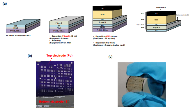 (a) Flexible resistive switching memory 공정 과정 (b) 탈착 전, (c) 후의 memory 사진