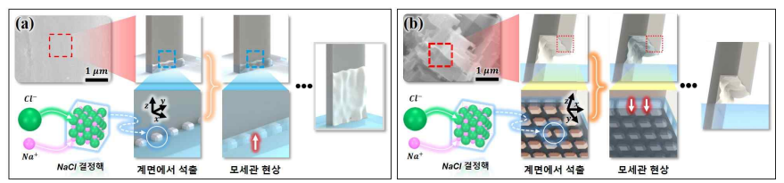 (a) 미처리 표면에서의 석출 과정 모식도[3] (b) 마이크로 구조 표면에서의 석출 과정 모식도