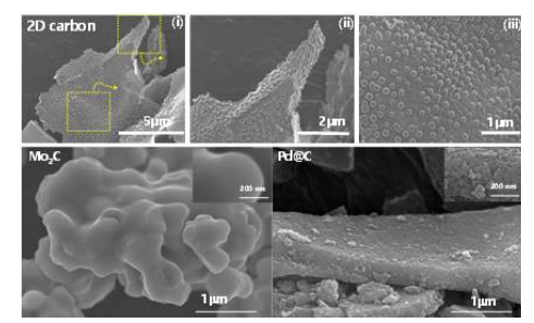 2D carbon, Mo2C Mxene 및 Pd/activated carbon의 FE-SEM 이미지