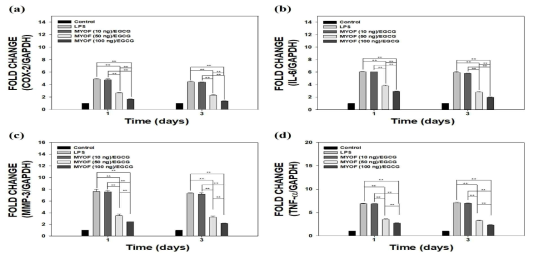 1일 및 3일 실시간연쇄중합반응결과: (a) COX-2, (b) IL-6, (c) MMP-3, (d) TNF-α