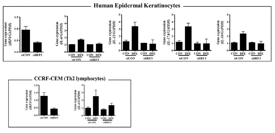 각질세포와 IRF3 넉다운에 의해 변화를 보이는 사이토카인의 동정
