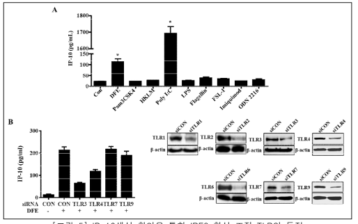 IP-10생성 확인을 통한 IRF3 활성 조절 TLR의 동정