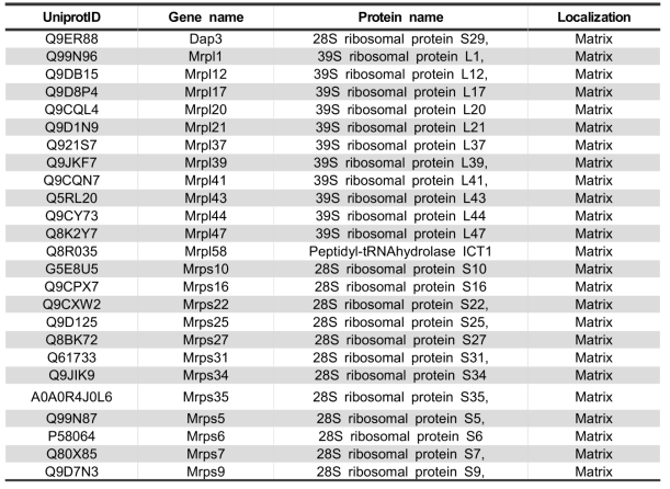 Letmd1과 결합하는 Mitoribosome 단백질 리스트
