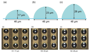다양한 높이의 µ-Lens 개략도 및 BM와 µ-Lens array 결합 구조의 OM 이미지 (a) H1=17μm, (b) H2=23 μm 및 (c) H3=28 μm