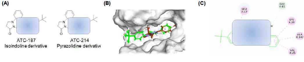숙명 In-house 라이브러리 스크리닝을 통해 얻어진 두 가지 유효(히트) 화합물 ATC-187 및 ATC-214 (특허출 원중인 화합물이므로 파랑색 박스로 일부 가림처리함) (A). 저분자화합물을 FYN kinase domain crystal structure (PDB code: 2DQ7 https://www.ncbi.nlm.nih.gov/Structure/mmdb/mmdbsrv.cgi?Dopt=s&uid=2DQ7)에 docking 수행함 (Discovery Studio 2019, Accelrys Inc.). FYN kinase domain에 PP-1(brown) 및 ATC-214(green)의 구조적 fitting을 보여줌 (B). 효소 활성부위와 ATC-214간의 수소결합(green 점선), 반데르발스 힘 (pink 점선) 상호작용을 보여줌