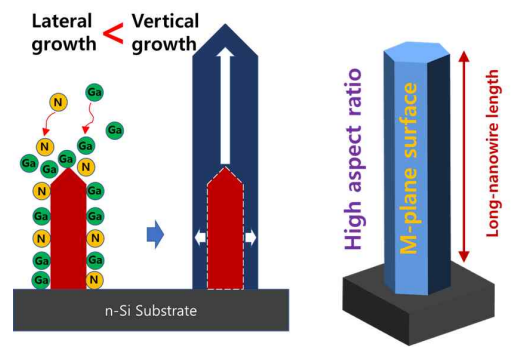 수직성장(vertical growth)을 이해하기 위한 GaN 나노와이어 성장 메커니즘 도식도