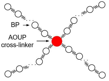 별 모양 액티브 폴리머. AOUP 크로스-링커가 브라우니안 입자들로 이루어진 라우즈 폴리머들을 가교하고 있다