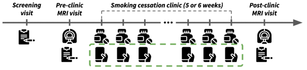 . 연구 과정을 나타내는 도식도. 참여자 실험 적합성을 알아보는 스크리닝 방문, 금연클리닉 전에 뇌영상 촬영등을 하는 pre-clinic MRI visit, 5-6주 동안 본 연구실에서 개발한 COCOMO app을 통해 참가하는 연구 참여 기간, 그리고 금연클리닉이 종료한 뒤에 하는 post-clinic MRI visit으로 이루어짐