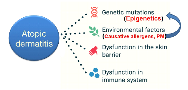 아토피피부염의 다양한 원인, 그리고 후성유전