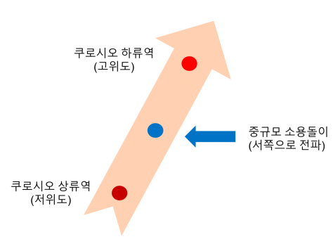 연구 개요 모식도