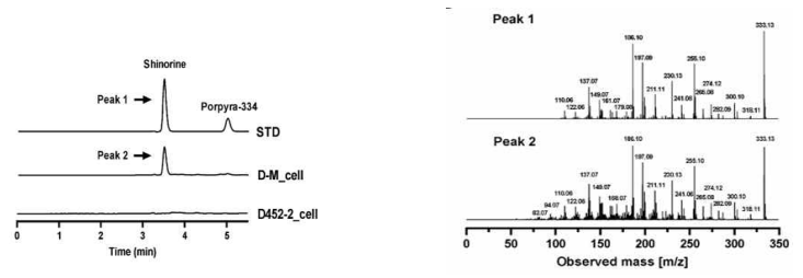 효모에 의해 생산된 시노린의 정량(HPLC), 정성(LC-MS 분석