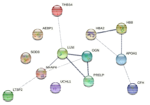 발현이 증가한 공통인자들의 Protein-Protein interaction 분석