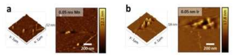 그래핀 위에 0.05 nm 두께의 a) Mn과 b) Ir이 삽입된 AFM 이미지