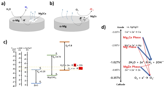 CZ계열 합금의 갈바닉 과정(a) 및 Z3계열 합금의 갈바닉 과정의 차이를 나타내는 모식도. 주요 부식생성물들의 밴드 에너지 및 수소, 수퍼옥사이드 생성 반응 에너지 준위와의 상대적 위치관계(c), 구성상들의 부식전위와 수소 및 수퍼옥사이드 생성 반응과의 어네지 준위 관계도(d)