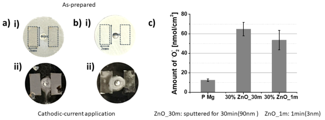 활성산소 제어기술의 예시: 순수 Mg 코인의 30% 면적에 90nm(a) 및 3nm(b)의 ZnO를 코팅하고 cathodic 전류를 인가함(i: 인가 전, ii: 인가 후). 수퍼옥사이드 측정 결과 순수 Mg에 비해 4배 가까운 생성량의 증가를 나타냄 (c)