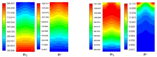 BrO3- 화학 반응이 없을 경우 및 (우) BrO3- 화학 반응이 있을 경우의 전극 membrane interface의 Br2 및 Br- 분포도.(브롬산염 화학 반응의 유무에 따른)(1.0 A/cm2의 current density)