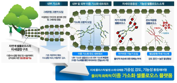 내부(화학적)·외부(물리적) 이중 가소화 셀룰로오스 아키텍처 개발 개요