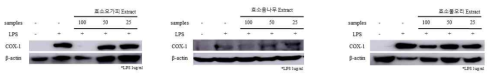 COX-1 억제 활성 평가