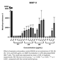 MMP-9 억제 활성 평가