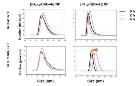 수용액과 DMEM 배양액에서의 bG/CpG/Ag NP의 시간에 따른 평균 크기 변화
