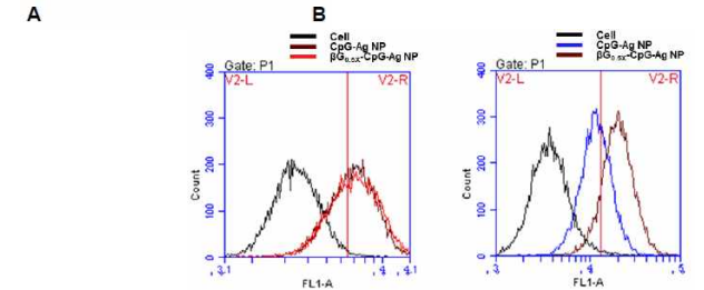 CpG/Ag NP, bG0.5X/CpG/Ag NP의 flow cytometry 결과. (A) HeLa 세포, (B) RAW264.7 세포