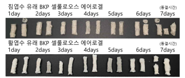 셀룰로오스 하이드로겔의 동결시간에 따른 셀룰로오스 에어로겔의 형태 비교