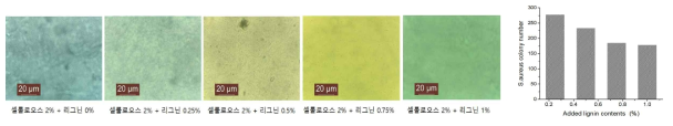 리그닌 첨가량에 따른 셀룰로오스-리그닌 복합필름의 항균효과