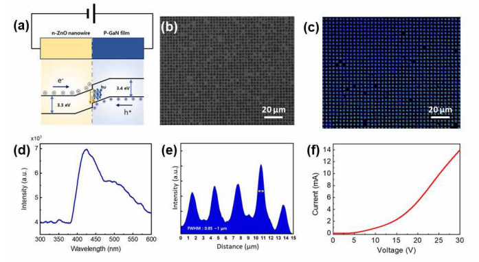하이브리드 나노구조체의 광학 특성 분석 (a) ZnO/GaN 에너지 밴드 구조 (b) 제작된 디스플레이 광학사진 (c) 디스플레이의 LED Electroluminescence 사진 (d) 발광된 디스플레이 스팟의 파장별 광 세기 스펙트럼 (e) 나노 구조체의 intensity 라인 프로필 (f) 나노 픽셀 디스플레이 기판의 -V 커브