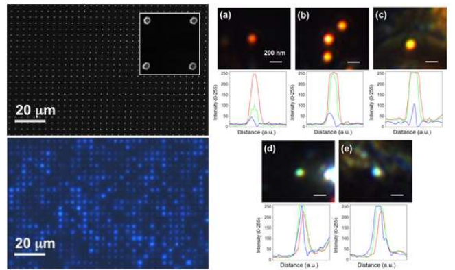 LED chip 이 접목 된 나노픽셀 기초 실험 결과 나노 픽셀별 색변환 일으키는 기초 실험