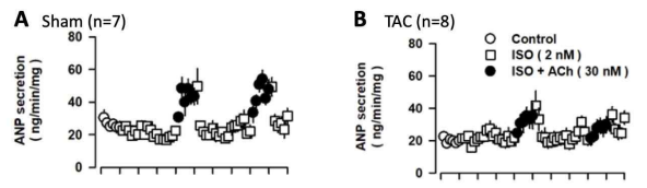 Dysregulated ANP secretion of mice model of heart failure