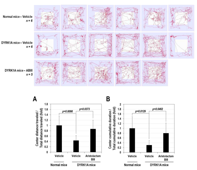 Aristolactam BIII의 DYRK1A TG 마우스 행동장애 개선 효능