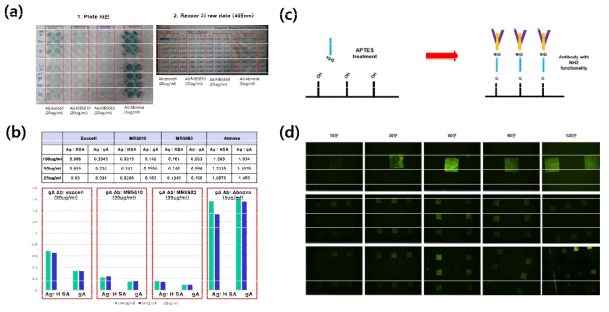 (a,b) 항체 선정에 따른 항원-항체반응 민감도 (c,d) 항체의 나노바이오센서 표면에 화학적 부착성