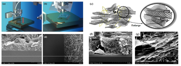 (a, b) 3차원 디스펜서 인쇄법 (c,d) CNT/그래핀 컴포짓 인쇄 후 표면 모폴로지 (e-g) CNT/그래핀 컴포짓 단면 모폴로지
