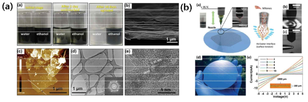 (a) 본연구에서 사용된 Mxene 잉크 특성 (b) 전기수력학 젯 프린팅을 이용한 Mxene 잉크의 프린팅 및 전기전도도 특성