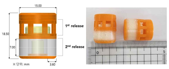 에소메프라졸과 나프록센의 반복방출 약물전달시스템의 구성(좌)과 실제 모습(우)