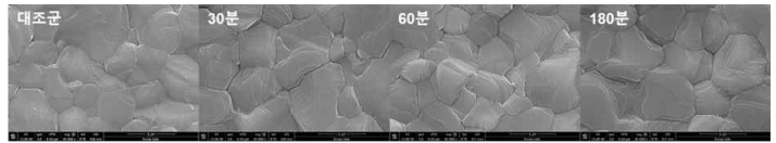 공정 시간에 따른 주사현미경 이미지