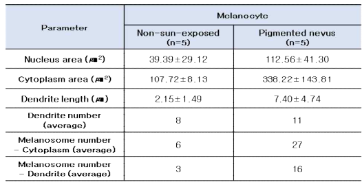 일광 비노출 부위와 색소성 모반 부위의 멜라닌 세포 미세구조 파라미터 (평균±표준편차)