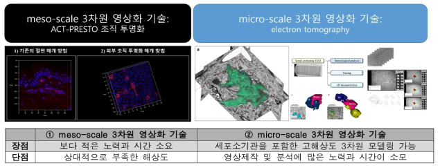 연구자 실험실에서 보유한 meso- (좌측 그림) / micro- (우측 그림) scale 3차원 영상 분석 기술 개요 및 특징