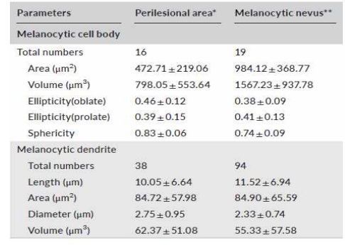색소성 모반 부위와 주변부의 멜라닌세포 세포체와 가지돌기 정량 파라미터 (평균±표준편차)