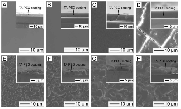 (A–D) SEM images of the surface morphologies of the PMMA substrates incubated for 10 min with the TA–PEG emulsions (5 mg/mL PEG with MW = 100 kDa; 2 M NaCl) containing dif-ferent concentrations of TA: (A) 2.5 mg/mL, (B) 5.0 mg/mL, (C) 7.5 mg/mL, and (D) 10 mg/mL. (E–H) SEM images of the surface morphologies of the PMMA substrates incubated for 10 min with the TA–PEG emulsions (0.5 mg/mL PEG with MW = 200 kDa; 2 M NaCl) containing different concentrations of TA: (E) 2.5 mg/mL, (F) 5 mg/mL, (G) 7.5 mg/mL, and (H) 10 mg/mL. The cross-sectional SEM images are shown in the insets