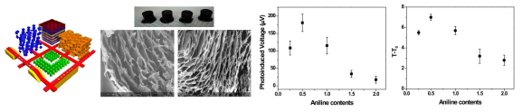 3차원 구조의 M13 bacteriophage 복합 나노구조체와 전도성고분자 복합소재 비율에 따른 광-열전 특성 분석