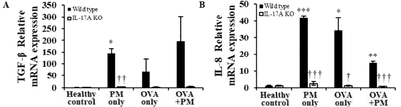 미세먼지 흡입으로 인해 손상된 폐 조직에서 IL-17A 결손으로 인한 growth factor 및 chemokine 분비 억제 (*: 대조군과 비교하여 증가, †: Wild type과 비교하여 감소 *,†: p<0.05, **,††: p<0.01, ***,†††: p<0.005)